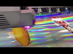 Öko-Lösungsmittel/UV-Druckhologrammvinyl